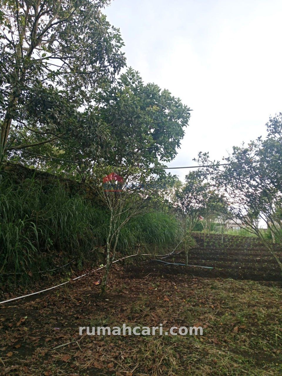 Tanah Dijual di Batu Dekat Wisata, Cocok Villa & Resort - foto 2