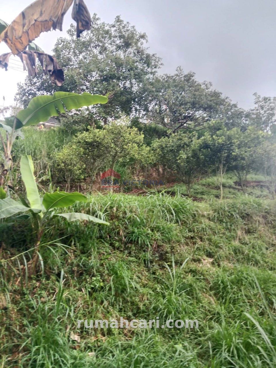 Tanah Dijual di Batu Dekat Wisata, Cocok Villa & Resort - foto 5