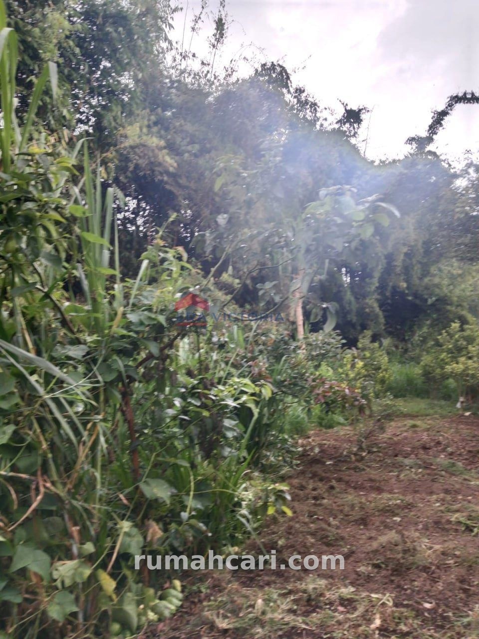 Tanah Dijual di Batu Dekat Wisata, Cocok Villa & Resort - foto 6