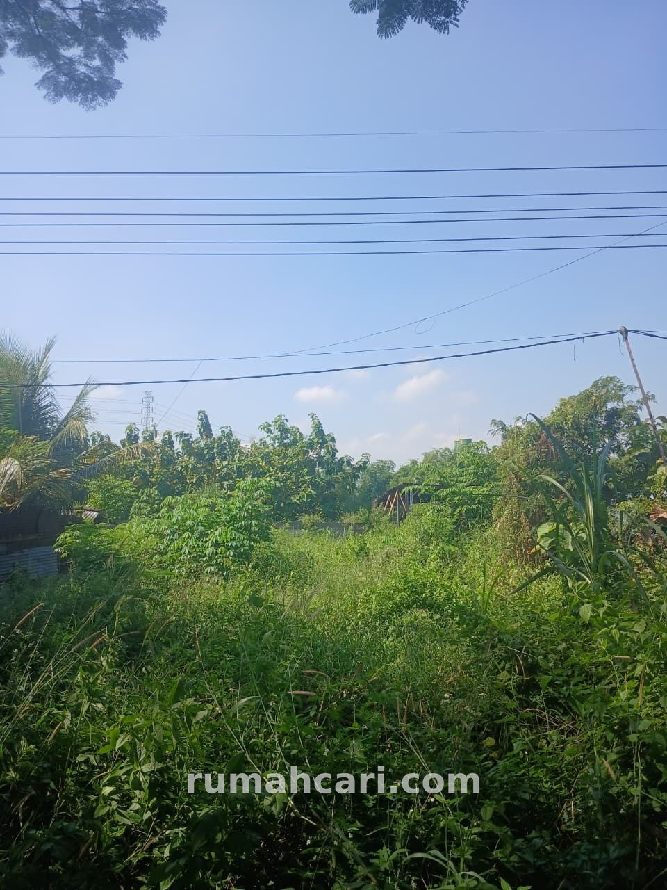 Tanah Kavling Malang, Luas 800m², Sewa 95 Juta/tahun