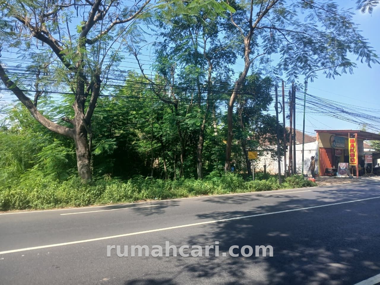 Lahan 3 Hektare Pinggir Jalan untuk Pengembangan Bisnis Pasuruan - foto 4