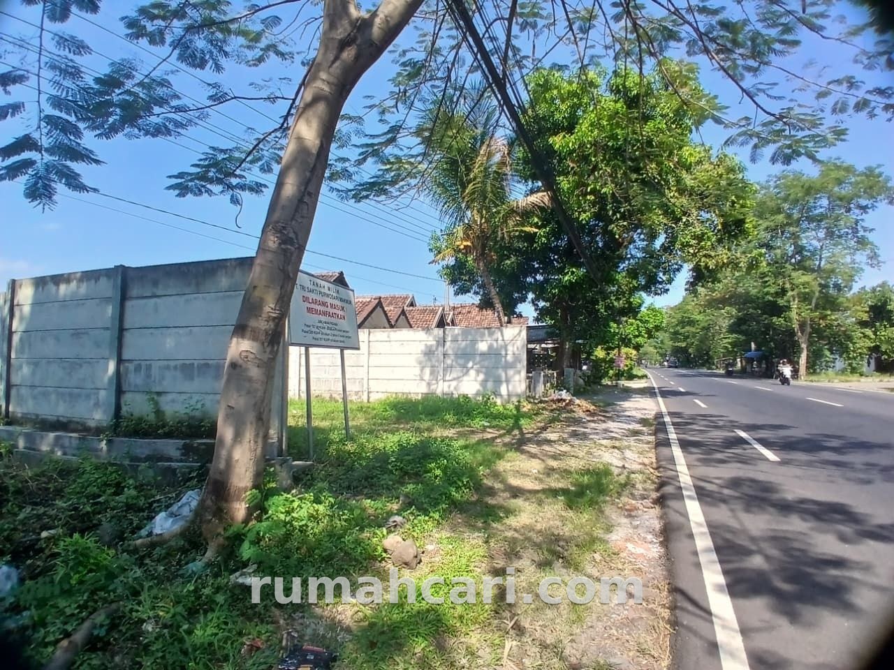 Lahan 3 Hektare Pinggir Jalan untuk Pengembangan Bisnis Pasuruan - foto 5