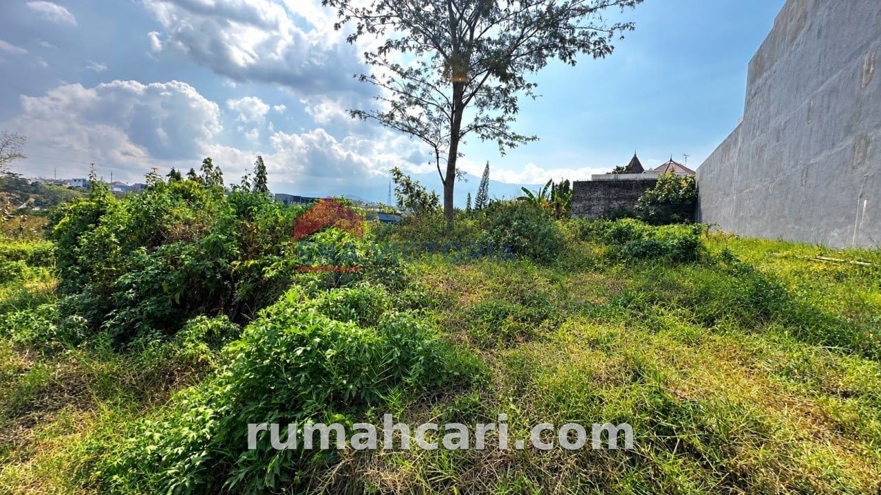 Kawasan Dataran Tinggi Potensial Untuk Investasi - foto 2