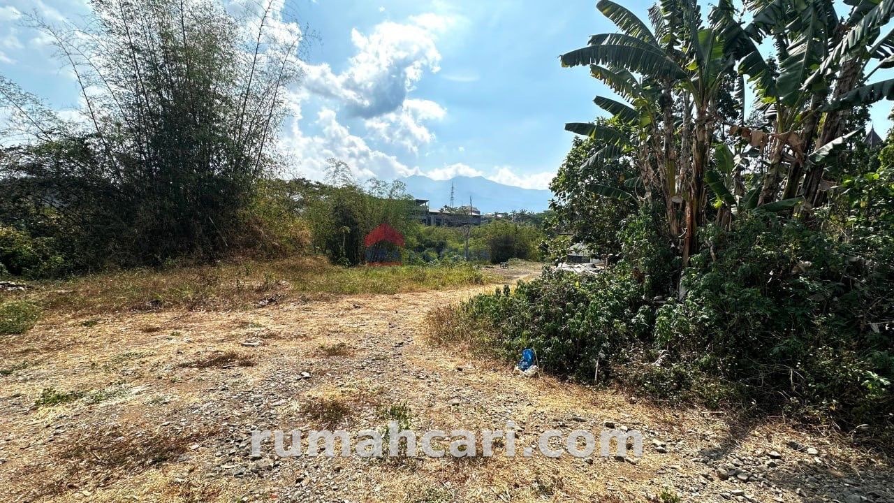 Kawasan Dataran Tinggi Potensial Untuk Investasi - foto 4