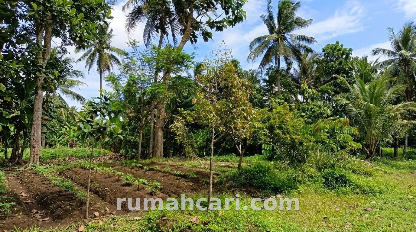 TANAH & RUMAH STRATEGIS RAYA NGAJUM – KEPANJEN - foto 4