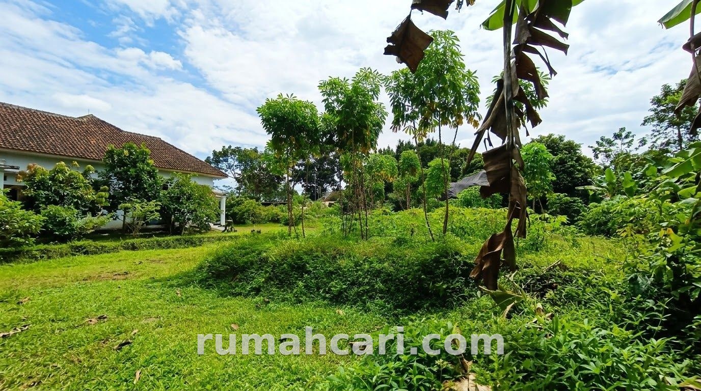 TANAH & RUMAH STRATEGIS RAYA NGAJUM – KEPANJEN - foto 7